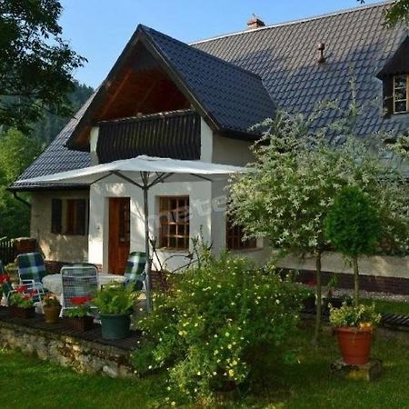 Agroturystyka Pod Jesionami Lądek-Zdrój エクステリア 写真